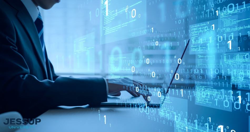 Software Engineering & IT Services
